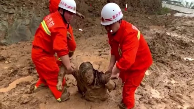 山西临汾一女子被泥石流掩埋 目击者：已被救出送往医院