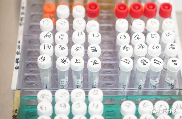内蒙古额济纳旗新增5例确诊，将开启全员核酸检测！兰州发明6例阳性病例